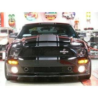   Snake Stripes With Pinstripe For Mustangs & GT 05 09 Models