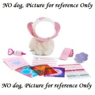  American Girl Just Like You Coconut Dog Pet Set Toys 