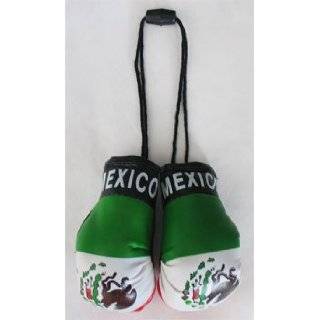  Puerto Rico   Mini Boxing Gloves Automotive