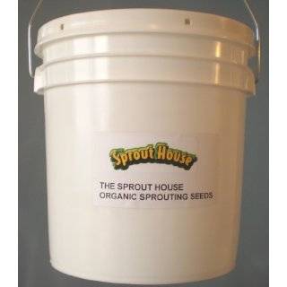 The Sprout House Hard Wheat for Wheatgrass Organic Sprouting Seeds 5 