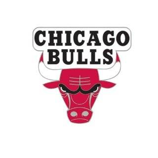  Chicago Bulls Logo Pin