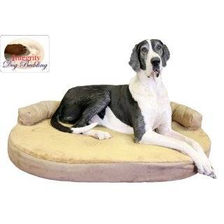 Large Orthopedic Memory Foam Joint Relief Bolster Dog Bed   Toffee