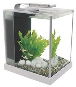 Fluval Spec III Aquarium Kit 2 8 Gallon White