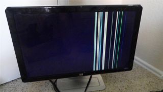 HP W1907 19" Widescreen Flat Screen LCD Monitor with Built in Speakers Works