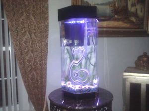 Acrylic Hexagon Aquarium Fish Tank with Light and Filter