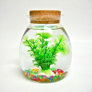 Desk Top Fish Tank Small Aquarium Starter Kit LED Lighting 3 Modes EZ Set Up