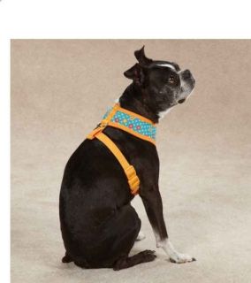 Blooming Brights Dog Harness Pet Soft East Side Collection Flower Dots