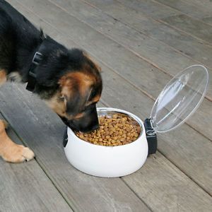 Hugz Auto Cover Pet Dog Cat Food Water Dish with Lid Sensor