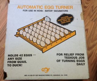 Hova Bator Egg Incubator 1602 N Chicken Quail Duck Egg Turner 1610