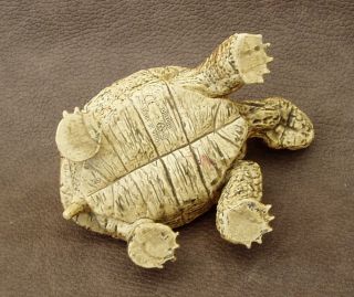 ↓↓more Pictures↓↓ AAA ELC Giant Tortoise Plastic Toy Figure Zoo Wild Animal