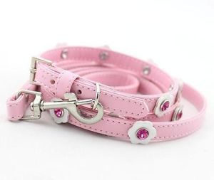 Dog Collars and Dog Leashes Wholesale Pet Collar with Leads Leash Set 8 Colors