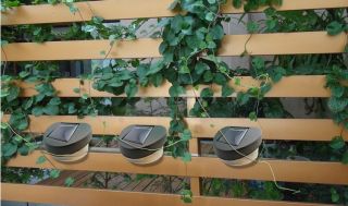 Solar LED Power White Light Pinup Wall Mount Lamp Garden Fence Deck Landscape
