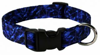 Electric Blue Designer Dog Collar Collars