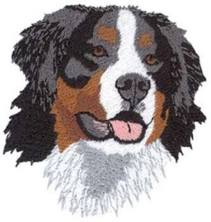 Men Women Bernese Mountain Dog Hat Price Embroidery