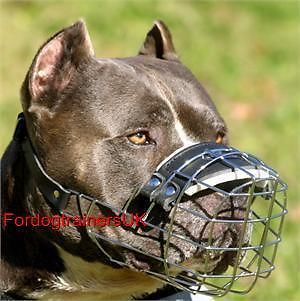 Dog Wire Basket Dog Muzzle Perfect Fits for Pitbull UK Bestseller