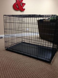 Midwest Life Stages 42 inch Single Door Folding Metal Large Dog Crate Pet Kennel