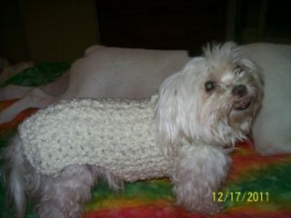 Dog Apparel Warm Ivory Frothy Fleece Sweater Large