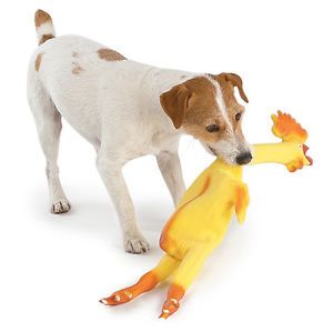 Zanies Squeaker Dog Toy 100 Natural Latex Rubber Chicken 23 1 2"