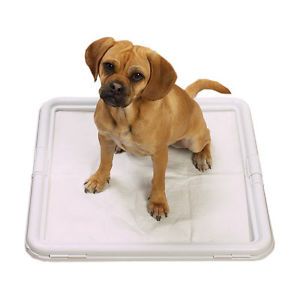 ClearQuest Pet Dog Puppy Wee Wee Training Pad Holder