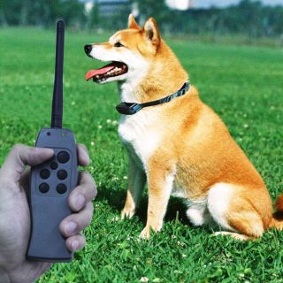 6 Level Shock Vibration Remote Dog Training Collar RC Obedience Field Trainer