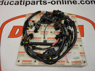 Ducati Complete Wiring Harness Monster 900 2000 New