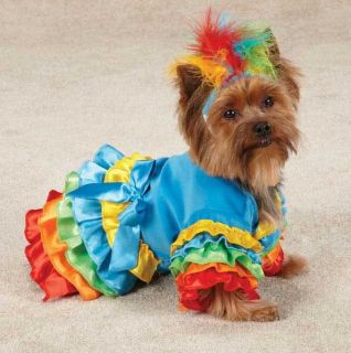 Casual Canine Polly Parrot Dog Halloween Costume XS XL Pet Dress