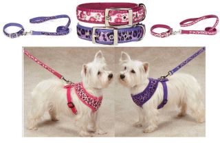 East Side Collection Vibrant Leopard Dog Collars Harnesses Leads Combo Set