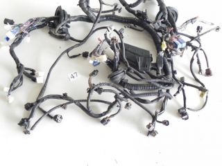 Lexus IS300 Wire Harness Engine Room Main 24 82111 53241 2001 with Fuse Box 47