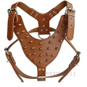 Coffee Leather Studded Dog Harnesses 17 5 23 5" Size for Mastiff Pit Bull Boxer