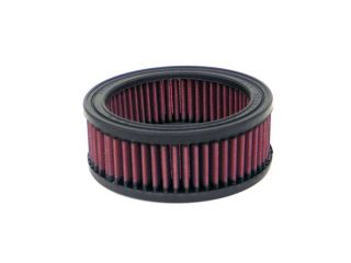 Replacement Air Filter E 2473 Air Filter for Ford Automotive Applications