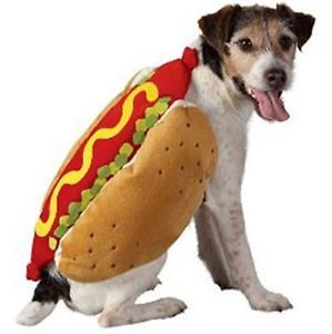 Hot Dog Pet Halloween Costume Large or XLarge L XL
