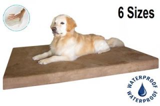 Gold 4" Orthopedic Memory Foam Pet Bed Dog Beds 3 Sizes