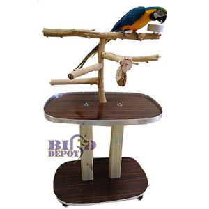Waynes Bottlebrush Parrot Play Gym Floor Perch Stand Large Birds Macaws 3789W