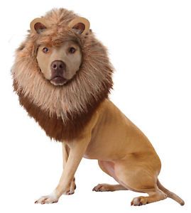 Lion Dog Pet Costume