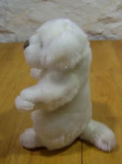 White Stuffed Animal Dog
