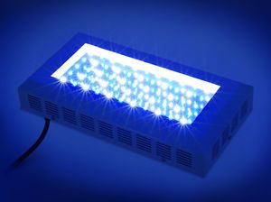 New 2013 Pro 120W LED Aquarium Coral Reef Fish Tank Light Blue White Grow Light