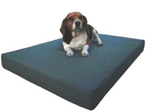 Small Medium Large XL Jumbo Memory Foam Pet Dog Bed Pad Waterproof Canvas Cover