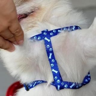 Bone Paws Print Small Dog Pet Leash Lead Harness Blue