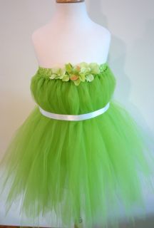 Baby Girls Tinkerbell Tutu Dress Skirt Costume Green Fairy Wings 0 Month Size 8