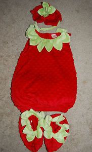 Gymboree Baby Strawberry Halloween Costume Toddler Girls 2T 3T Super Cute