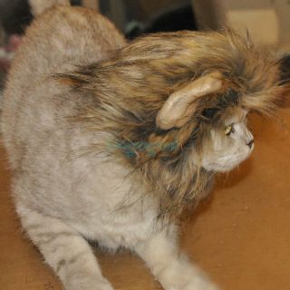 Pet Cat Brown Lion Mane Wig Clothes Puppy Halloween Fancy Dress Costume Outfit