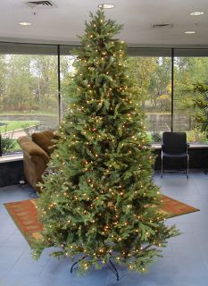 6 5' Pre Lit White Pine Fir Artificial Christmas Tree Clear Lights