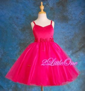 Hot Pink Pageant Wedding Flower Girl Party Dress Occasion Size Toddler 2T 3T 050