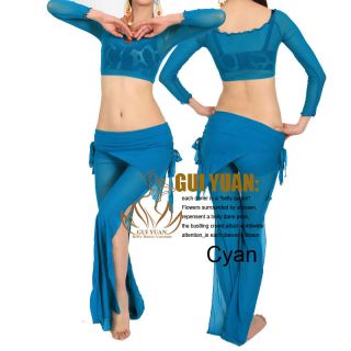 Belly Dance Costume Dancewear Dress 2Pics Top Pants 9Colours