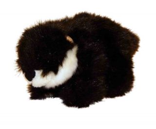 Wild Republic Baby River Otter Soft Plush Cuddly Toy 15cm 6" 85462 3