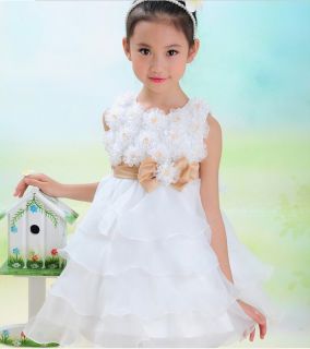 Girls Toddler 3D Flower Tutu Layered Skirt Princess Party Bow Kids Formal Dress