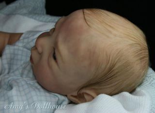 Amy's Dollhouse Lifelike Reborn Baby Sold Out Le O Auer"Jamie" MRMH Tummy Plate