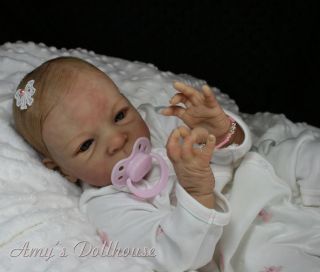 Amy's Dollhouse Lifelike Reborn Baby Sold Out Le O Auer"Amy" MRMH Tummy Plate