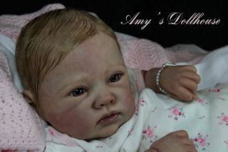 Amy's Dollhouse Lifelike Reborn Baby R Strydom"Porsha" MRMH A C Tummy Plate