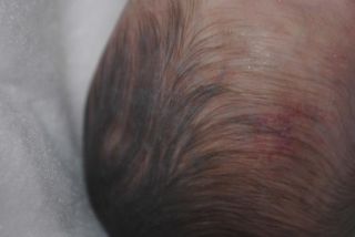 Bonnie Brown Meredith Reborn Baby Girl Painted Hair L E